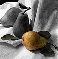 Pears - A Still Life